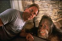 Bigfoot und die Hendersons [Blu-ray], 6