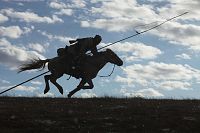 Le dernier loup [DVD], 4