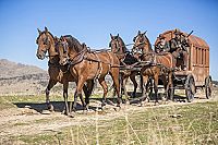 Road to Hell [DVD], 1