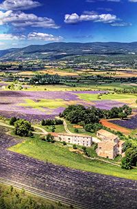 Madame le Commissaire und die Frau ohne Gedächtnis, 2