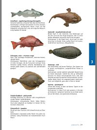 Lehrbuch der Küche, 4