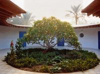 Sekem - Aus der Kraft der Sonne [DVD], 6