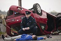 The Guard - Ein Ire sieht schwarz [DVD], 7