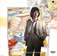 Year of the cat [Vinyl], 1