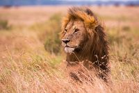 Le voyage de la vie [Blu-ray], 4