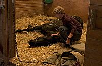 American Black Beauty [DVD], 2