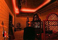 Hitman - Contracts [Sony PlayStation 2], 2