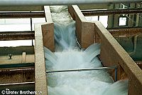 Die Mineralwasser-Verschwörung [Blu-ray 3D], 3