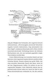 Die geheime Macht der Düfte: Warum wir unserem Geruchssinn mehr vertrauen sollten, 3
