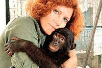 Benny - Allein im Wald [Blu-ray 3D], 6