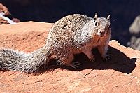 Amerikas Südwesten - Vom Grand Canyon bis zum Death Valley [Blu-ray], 2