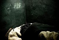 A.L.F. (animal liberation front) [DVD], 3