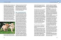 Was Hunde wirklich wollen, 5