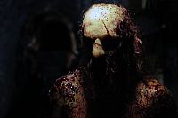 Animus - The New Maneater [Blu-ray], 1