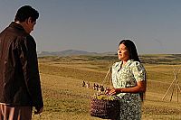 Jimmy P. - Psychothérapie d'un Indien des Plaines [DVD], 6