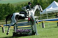 Ein Pferd für Moondance [DVD], 1