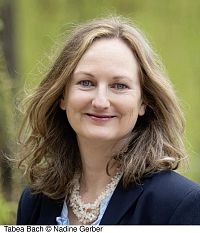 Das Vermächtnis der Seidenvilla, 1