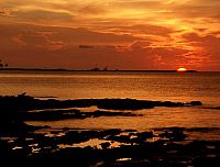 Die Delfinflüsterin [DVD], 6