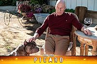 Star Trek: Picard - Staffel 1 [Blu-ray], 5