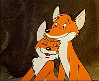 Vuk - Der kleine Fuchs [DVD], 9