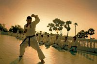 Shamo - The Ultimate Fighter [DVD], 4