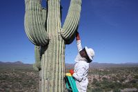 More than honey [Blu-ray], 7