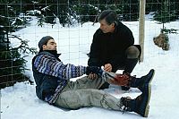 Forsthaus Falkenau - Staffel 8 [DVD], 1