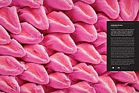 Die Welt von innen , 3