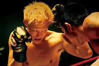 Shamo - The Ultimate Fighter [DVD], 5