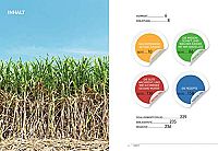 Voll verzuckert - That Sugar Book - Wie uns die Lebensmittelindustrie dick macht und für dumm verkauft, 2