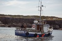 Die grosse Versuchung - Lügen bis der Arzt kommt [DVD], 4