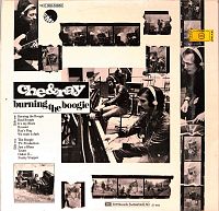 Burning The Boogie [Vinyl], 1