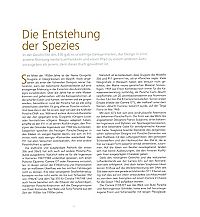 Porsche - Ursprung einer Marke, 8