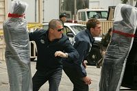 CSI: Las Vegas - Staffel 9 [DVD], 8