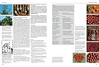 Enzyklopädie der psychoaktiven Pflanzen, 7