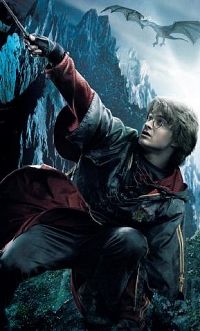 Harry Potter et la coupe de feu [DVD], 5
