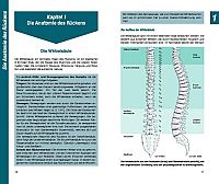 Theraband & Pezziball, 3