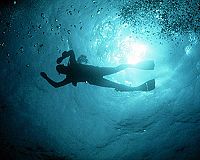 Die Möweninsel [DVD], 4