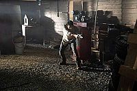 Survive the Night [DVD], 5