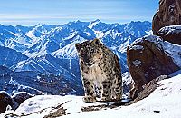 Planet Erde II [DVD], 3