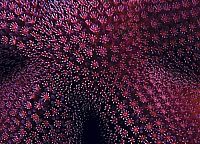 Last Ocean - Paradies am Ende der Welt [Blu-ray 3D], 6