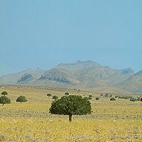 Wilder Iran  [Blu-ray], 9