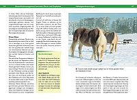 Massage - Muskel- und Gelenkprobleme erkennen und beheben, 6