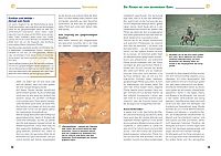 Ponys & Kleinpferde, 6