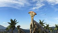 Sea Rex - Reise in die Zeit der Dinosaurier - IMAX [Blu-ray 3D], 7