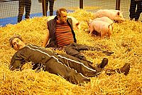 Saint Amour - Drei gute Jahrgänge [Blu-ray], 3