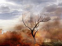 Far Cry 2 [Microsoft Xbox 360], 6