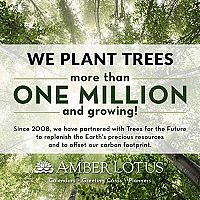 Thich Nhat Hanh 2021 , 4