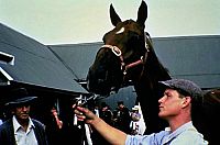 Phar Lap - Legende einer Nation  [DVD], 8