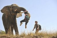 Kleine Helden, grosse Wildnis 2 - Abenteuer Serengeti [DVD], 3